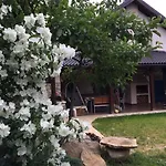 Charming Luxury Villa